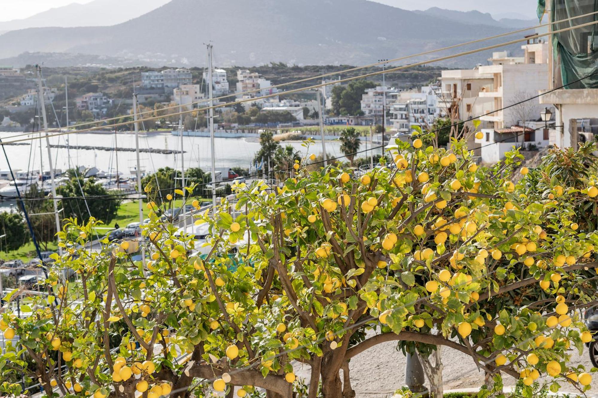 Jelena Apartments By The Sea Ágios Nikólaos 외부 사진